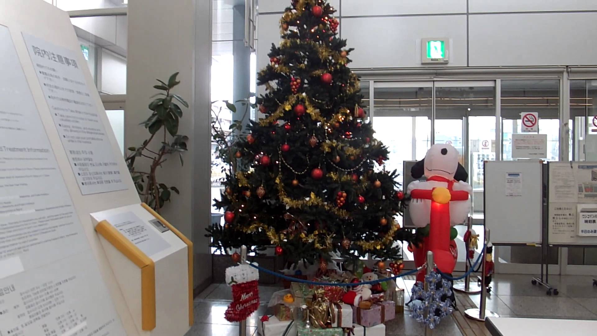 川崎病院のクリスマスツリー