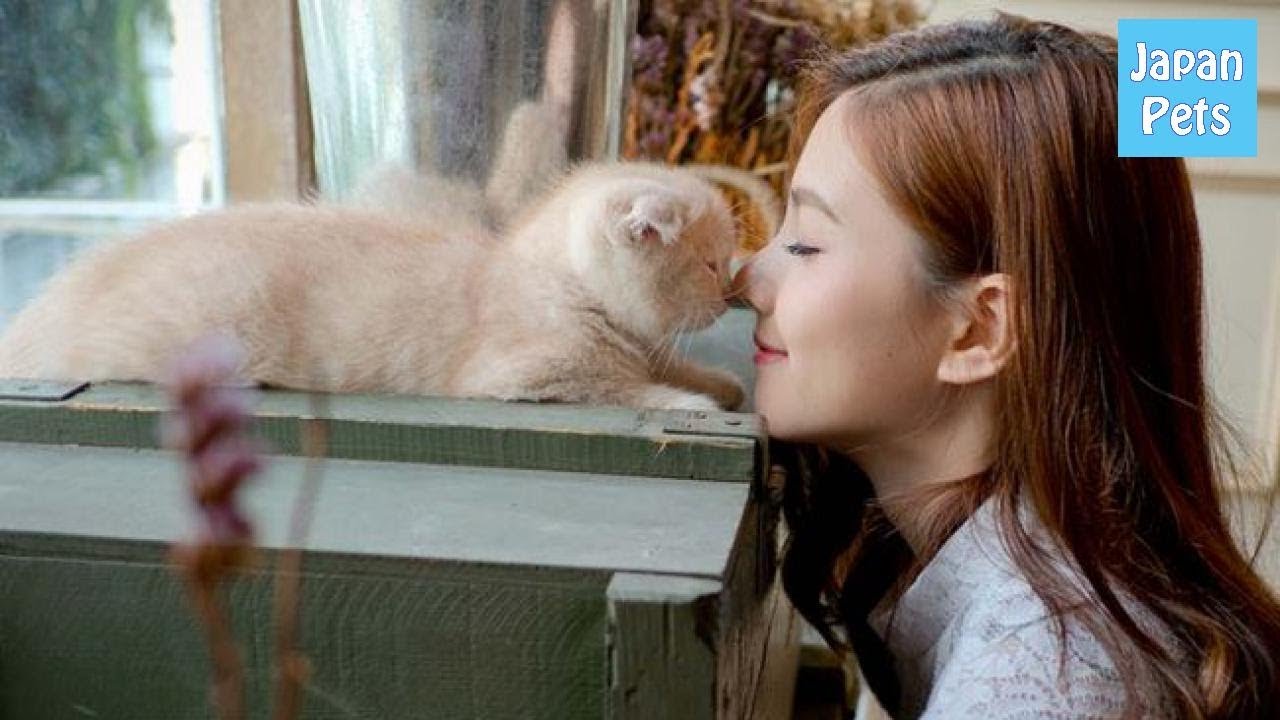 一人暮らしでも猫を飼おう♪飼い主になる前に知って欲しいこと。 – Japan Pets