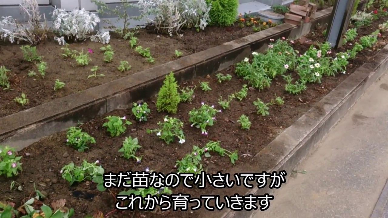 【授業・実習】新潟農業・バイオ専門学校　花壇植栽